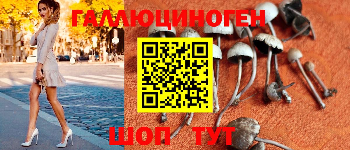 Галлюциногенные грибы GOLDEN TEACHER  Вход с VPN  Тула 
